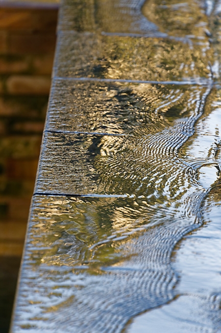 Famille et amis-MAI17-004